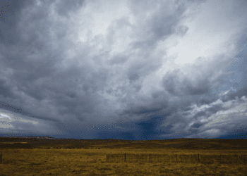 Writers on the Range: Montana’s politicians have lost their ties to land